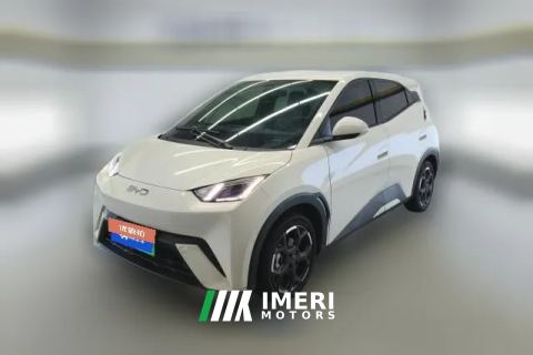 2025 BYD Seagull 2025 305km freeEdition