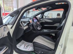2024 BYD Dolphin 2024 Glory 420km Fashion #5