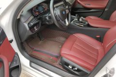 2021 BMW 5 Series 2021 2.0T AT 530LiLeadingLuxury Pkg #9