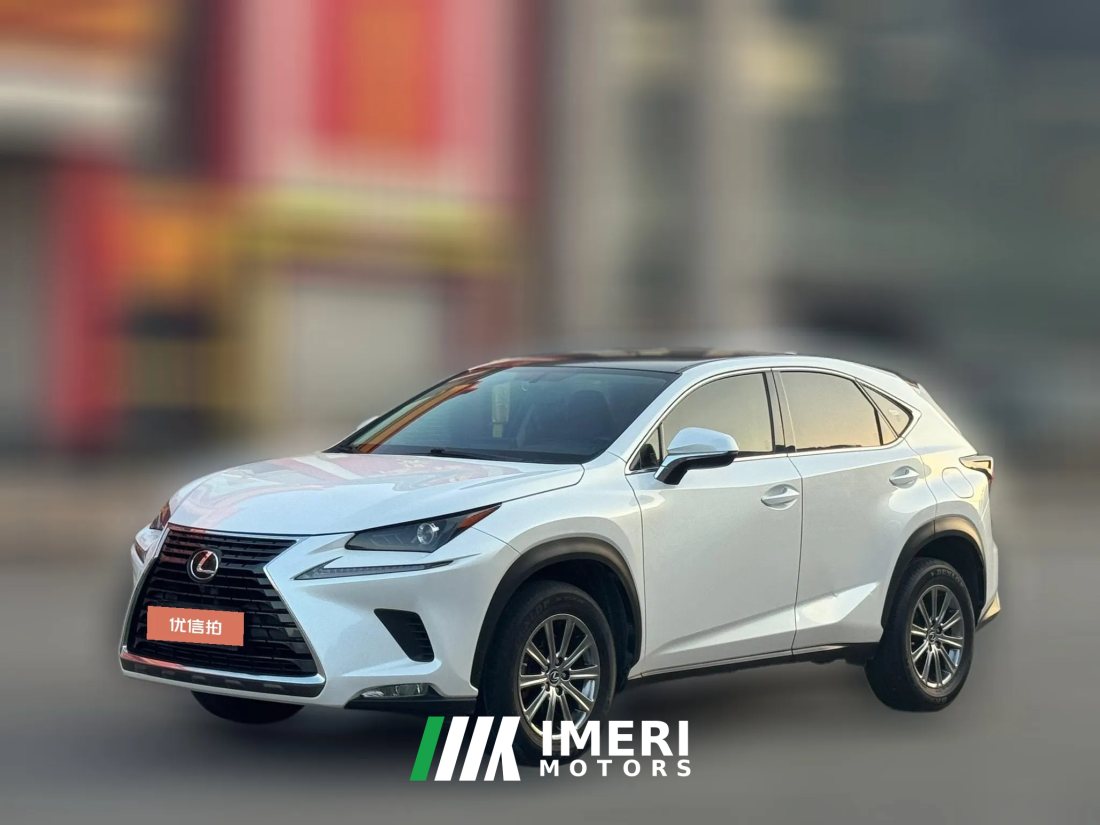 2021 Lexus NX 2020 2.0 AT 200Feng XingEditionFWD China VI (Imported)