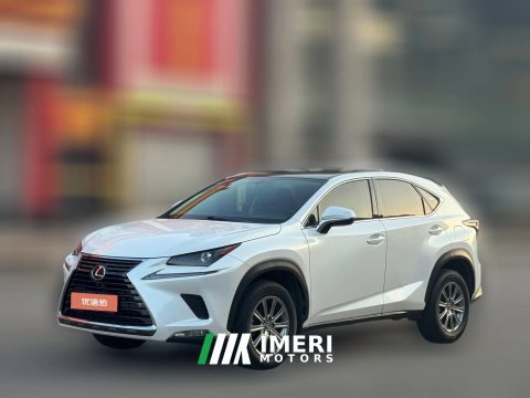 2021 Lexus NX 2020 2.0 AT 200Feng XingEditionFWD China VI (Imported)