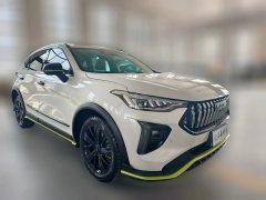 2021 Haval Chitu 2021 1.5T AT ProvokingEdition golden rabbit #3