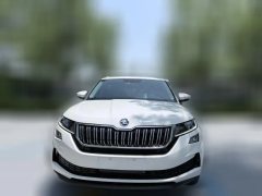 2019 Škoda Kodiaq GT 2019 2.0T AT TSI380Luxury 4WD China V #2