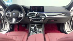 2020 BMW 5 Series 2020 2.0T AT 530LiLeadingMSport Pkg #19