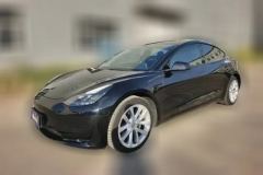 2022 Tesla Model 3 2022 rear wheel driveEdition #1