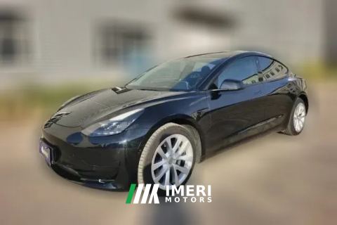 2022 Tesla Model 3 2022 rear wheel driveEdition