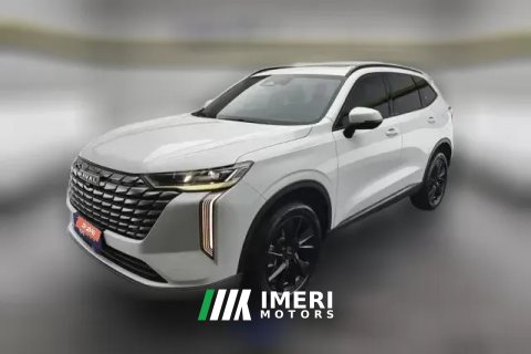 2024 Haval H6 2024 1.5T AT 2WDMax