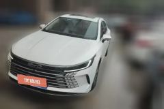 2024 BYD Destroyer 05 2023 Champion 1.5L AT DM-i 55KM Premium #1