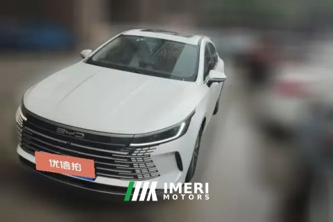 2024 BYD Destroyer 05 2023 Champion 1.5L AT DM-i 55KM Premium
