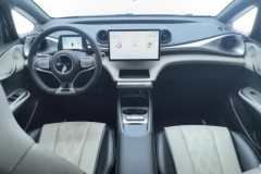 2025 BYD Dolphin 2025 420km freeEdition #12