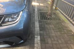2024 BYD Dolphin 2025 420km Fashion #5