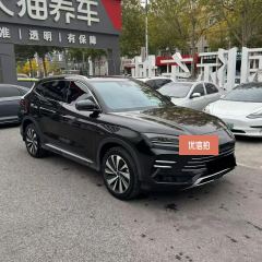 2024 BYD Song Plus New Energy 2023 Champion 1.5L AT DM-i 150KM FlagshipPLUS #6