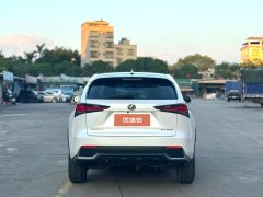 2021 Lexus NX 2020 2.0 AT 200Feng XingEditionFWD China VI (Imported) #7