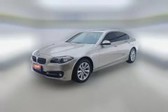 2015 BMW 5 Series 2014 2.0T AT 520LiElegant #1