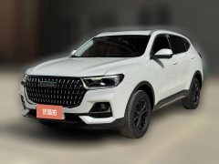 2023 Haval H6 2023 China tideEdition 1.5T ATUrbanEdition #1