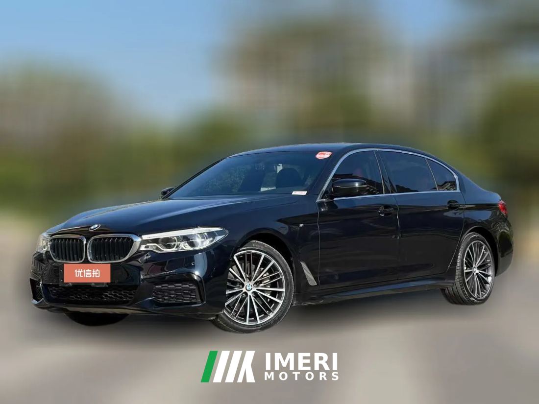 2019 BMW 5 Series 2020 2.0T AT 530LiLeadingMSport Pkg
