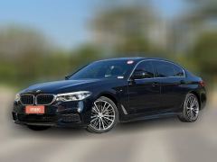 2019 BMW 5 Series 2020 2.0T AT 530LiLeadingMSport Pkg #1