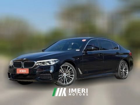 2019 BMW 5 Series 2020 2.0T AT 530LiLeadingMSport Pkg