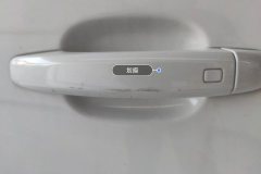 Left Rear Door Handle