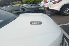 Engine Hood