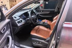 2022 Chery Tiggo 8 2021 KunpengEdition 390TGDI ATFuyaoEdition #9