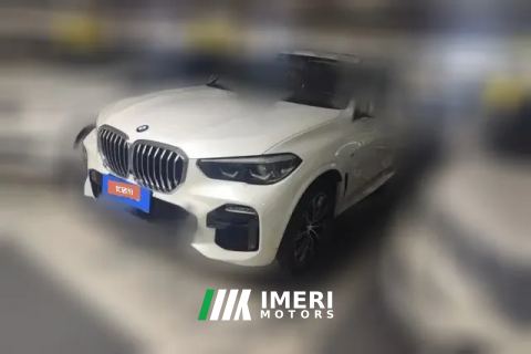 2020 BMW X5(Imported)(Imported) 2020 2.0T AT 30i MSport Pkg (Imported)