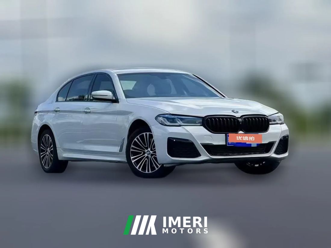 2018 BMW 5 Series 2018 2.0T AT 530LiExclusiveLuxury Pkg