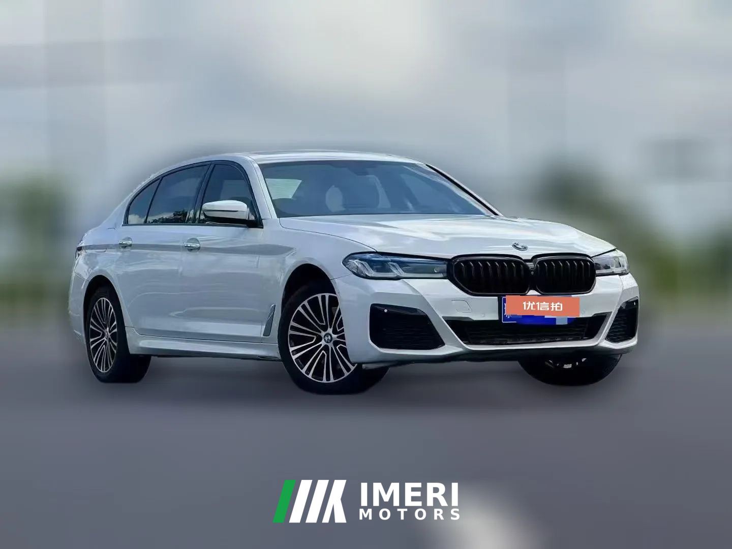 2018 BMW 5 Series 2018 2.0T AT 530LiExclusiveLuxury Pkg