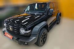 2024 Tank 300 2023 Off-road 2.0T AT conqueror #1
