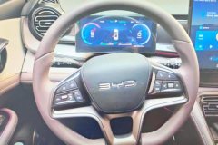 2023 BYD Corvette 07 2023 1.5T AT DM-i 100KM Flagship #15