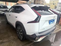 2023 GAC Trumpchi Trumpchi Yingku 2022 2.0T neutron starProEdition #2
