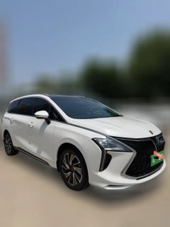 2022 Dongfeng Fengxing Fengxing Youting 2022 1.5T AT DCTChase the wavesEdition #3