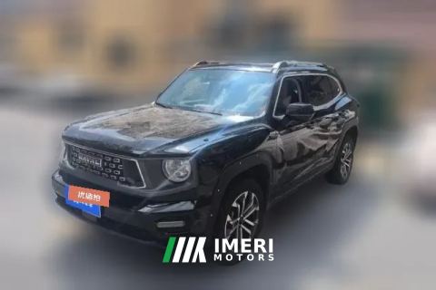 2024 Haval Big Dog Plus 2023 1.5T AT 2WDShionoEditionplus