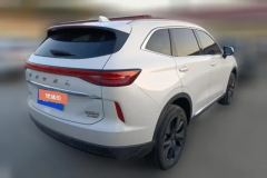 2024 Haval H6 2021 2.0T AT No.3generation2WDMax #2