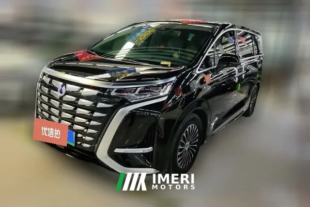2025 Denza D9 2024 1.5T AT DM-i 980 4WDHonor