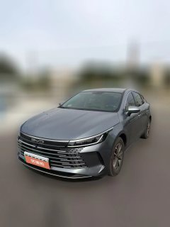 2025 BYD Destroyer 05 2024 DM-i 55KM PilotGlory #1