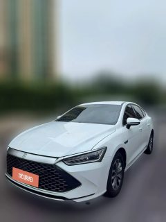 2024 BYD Qin Plus 2023 Champion 1.5 AT DM-i 55KMLeading #1