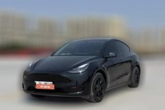 2021 Tesla Model Y 2021StandardBattery lifeRWDEdition #1