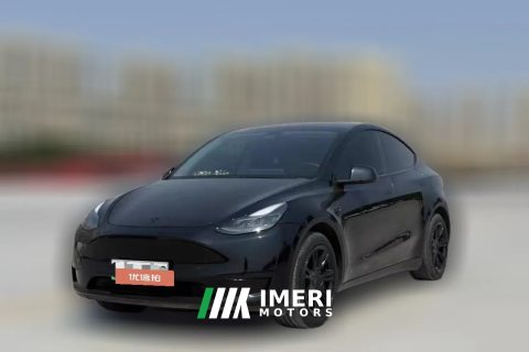 2021 Tesla Model Y 2021StandardBattery lifeRWDEdition