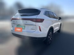2021 Haval H6 2021 1.5T AT No.3generation2WDPro #7
