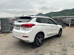 2018 Haval H6 Coupe 2018 1.5T AT Red LabelLuxury FWD #9