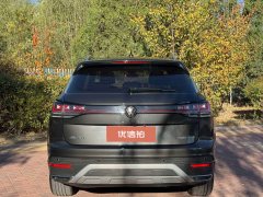 2025 Volkswagen Tayron 2024 2.0T AT 330TSI 2WDLuxuryplusAdvancedEdition #8