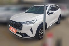 2023 Haval H6 2022 No.3generation 1.5T AT 2WDPro #1