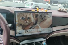 2023 BYD Seal 2023 DM-i 1.5L AT 121km Premium #13