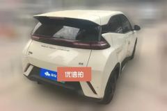 2023 BYD Seagull 2023 vitalityEdition #3
