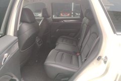 2022 GAC Trumpchi Trumpchi GS4 Plus 2021 1.5T AT 270T starsEdition #11
