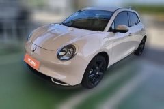 2025 Ora Good Cat 2024 401km Luxury #1