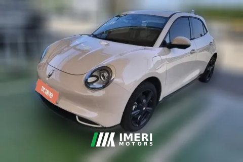2025 Ora Good Cat 2024 401km Luxury