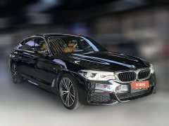 2020 BMW 5 Series 2020 2.0T AT 530LiLeadingMSport Pkg #3