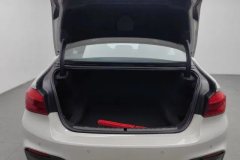 2018 BMW 5 Series 2018 2.0T AT 525Li MSport Pkg #20